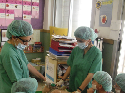 Taller de medicina de l'Hospital Ossets de Peluix a Alcover