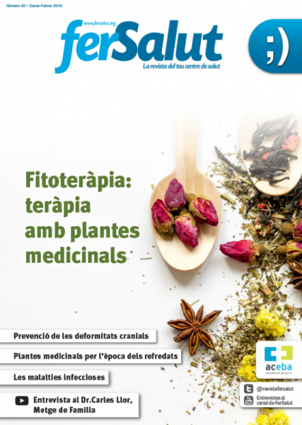 Portada Fer Salut_85