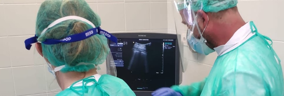 Ecografia pulmonar